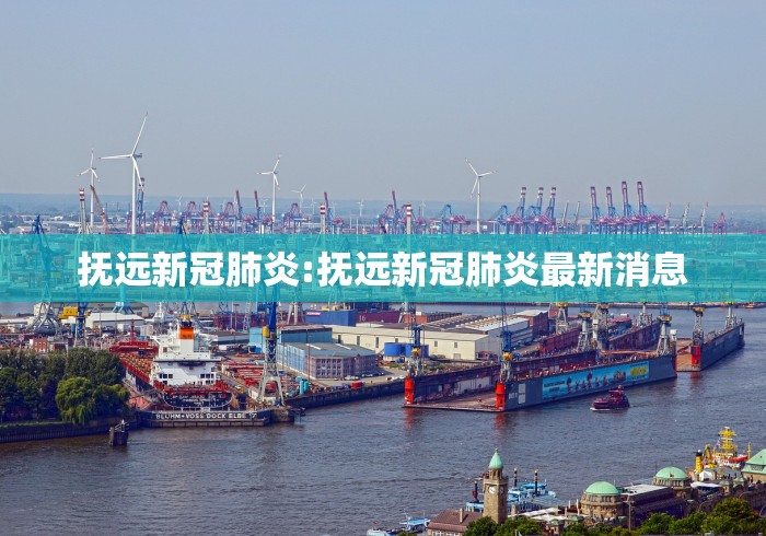 抚远新冠肺炎:抚远新冠肺炎最新消息