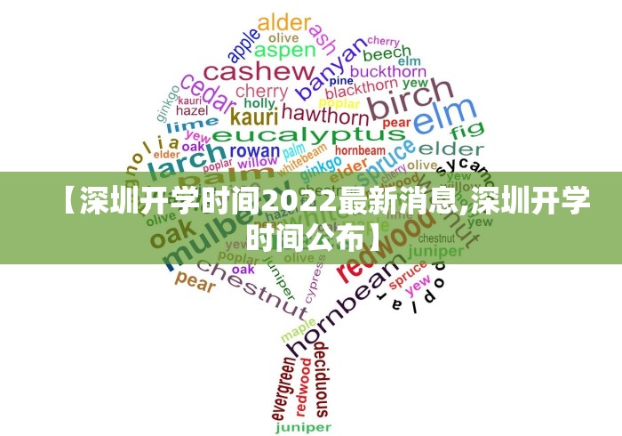 【深圳开学时间2022最新消息,深圳开学时间公布】