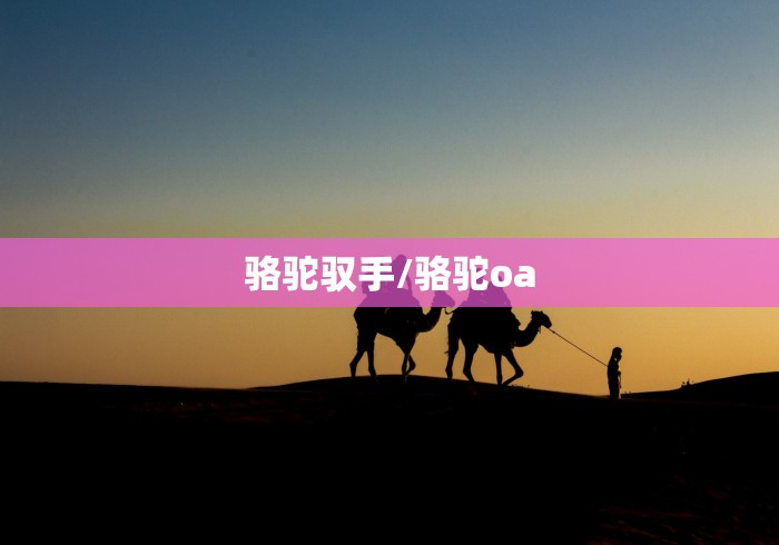骆驼驭手/骆驼oa