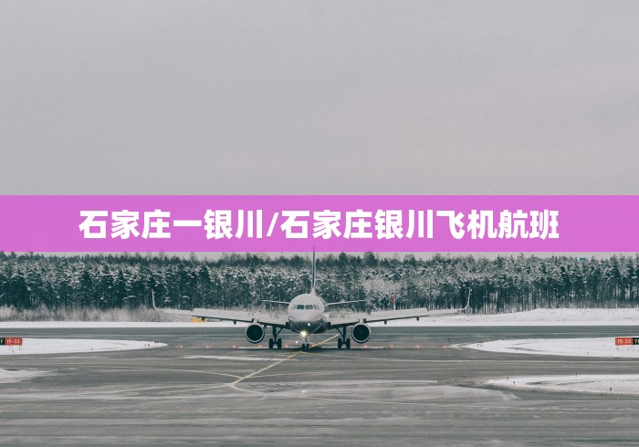 石家庄一银川/石家庄银川飞机航班