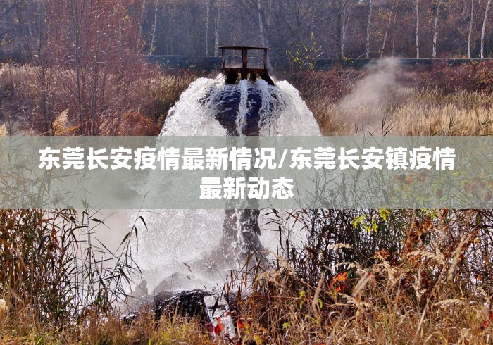 东莞长安疫情最新情况/东莞长安镇疫情最新动态