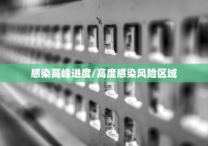 感染高峰进度/高度感染风险区域