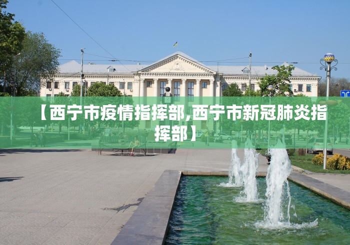 【西宁市疫情指挥部,西宁市新冠肺炎指挥部】