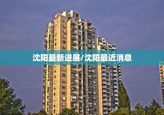 沈阳最新进展/沈阳最近消息