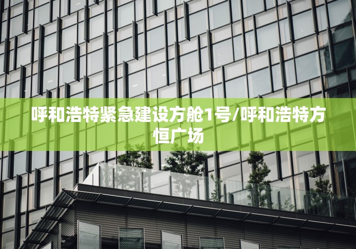 呼和浩特紧急建设方舱1号/呼和浩特方恒广场