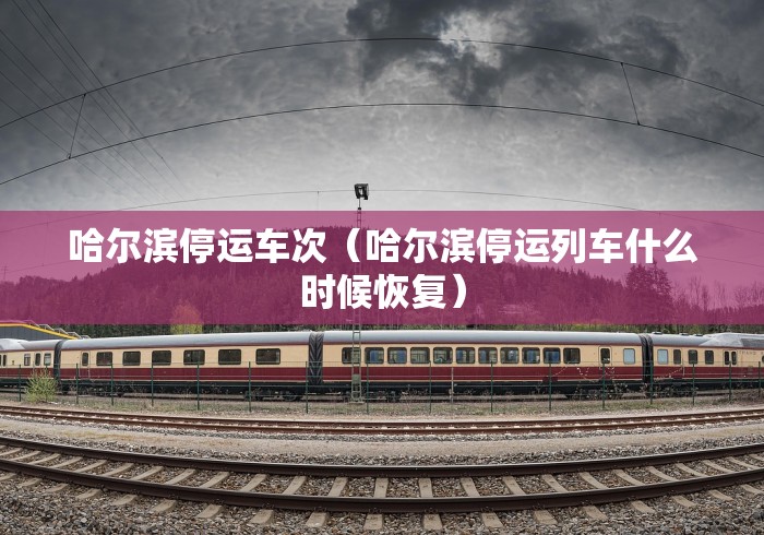 哈尔滨停运车次（哈尔滨停运列车什么时候恢复）