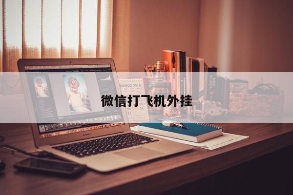 微信打飞机外挂
