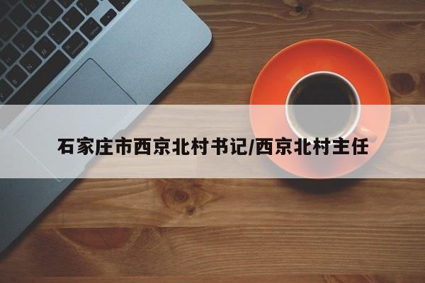 石家庄市西京北村书记/西京北村主任